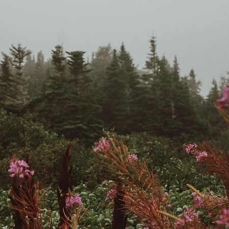 Nordet Motel Saint Georges De Malbaie Екстериор снимка